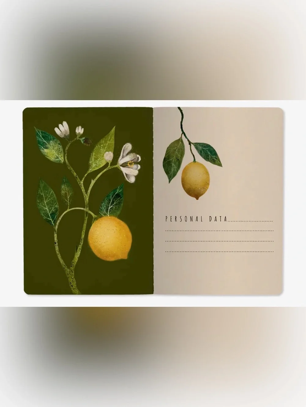 BV by Bruno Visconti these notebooks